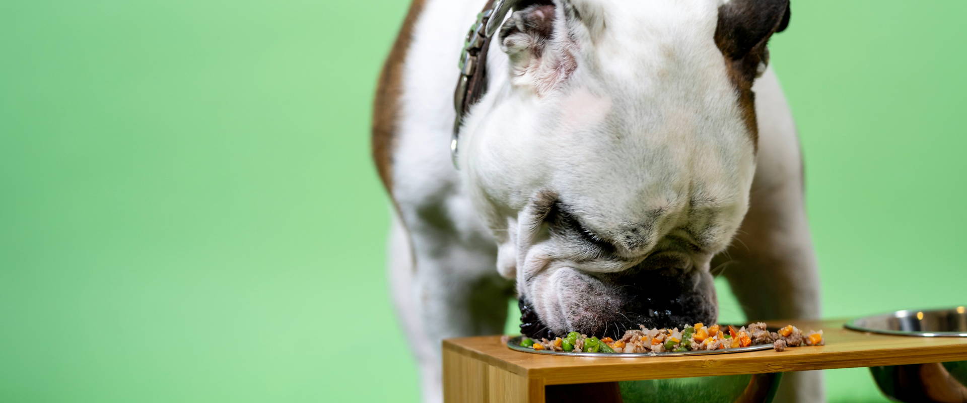 Roast Chicken Dinner Classic and yummy recipes for dogs too Tilly Ted